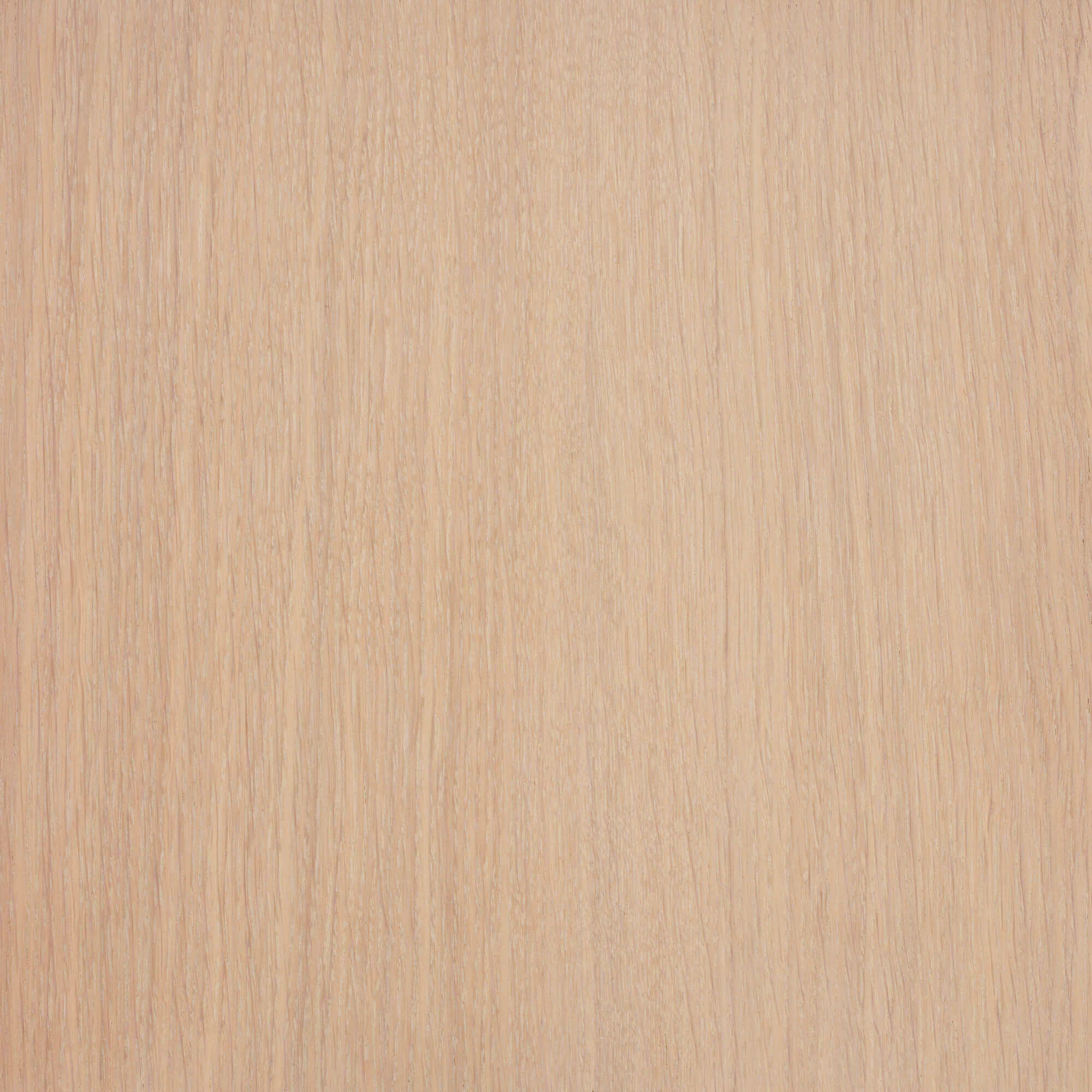Oil Plus 2C - 130 mL - Image 121
