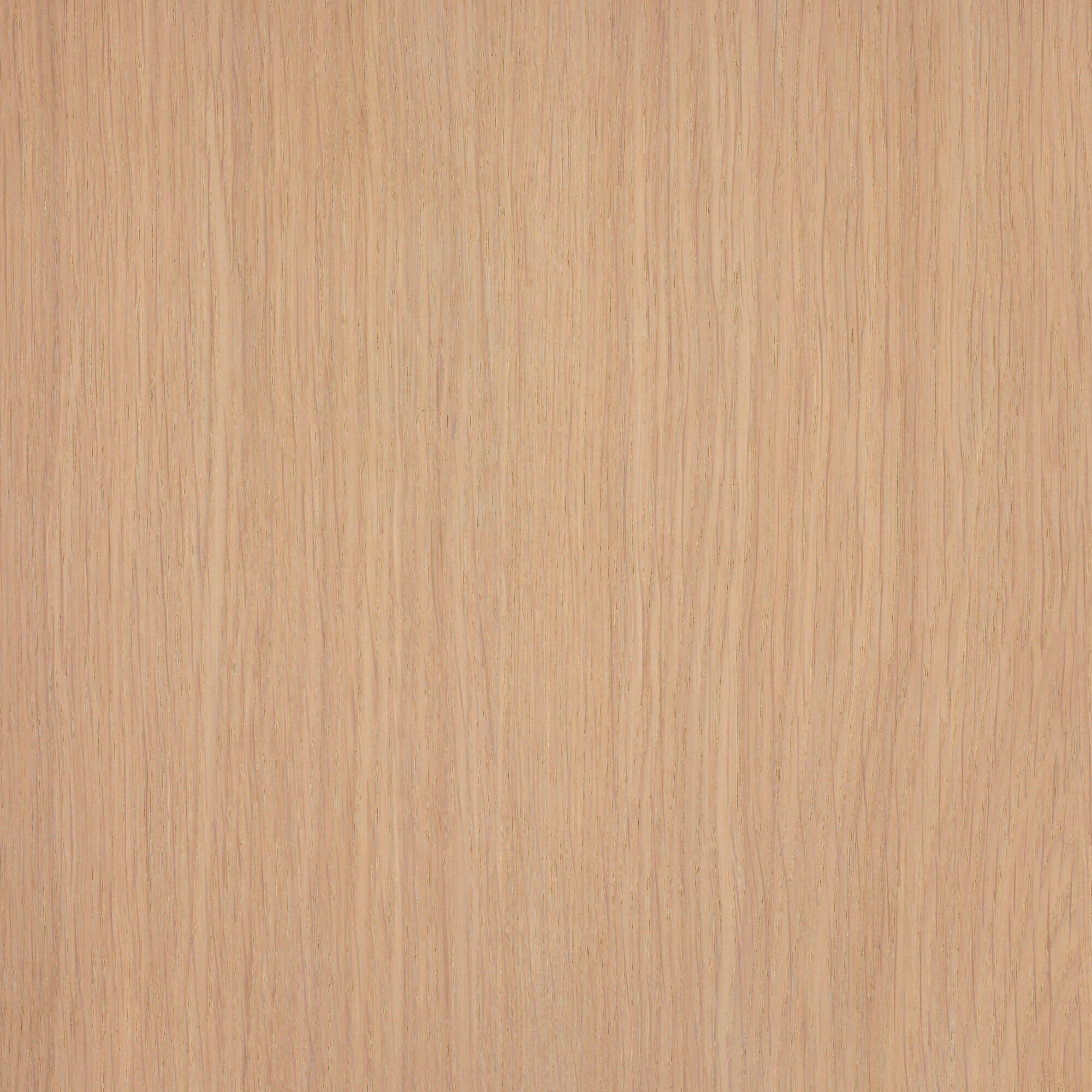 Oil Plus 2C - 130 mL - Image 109