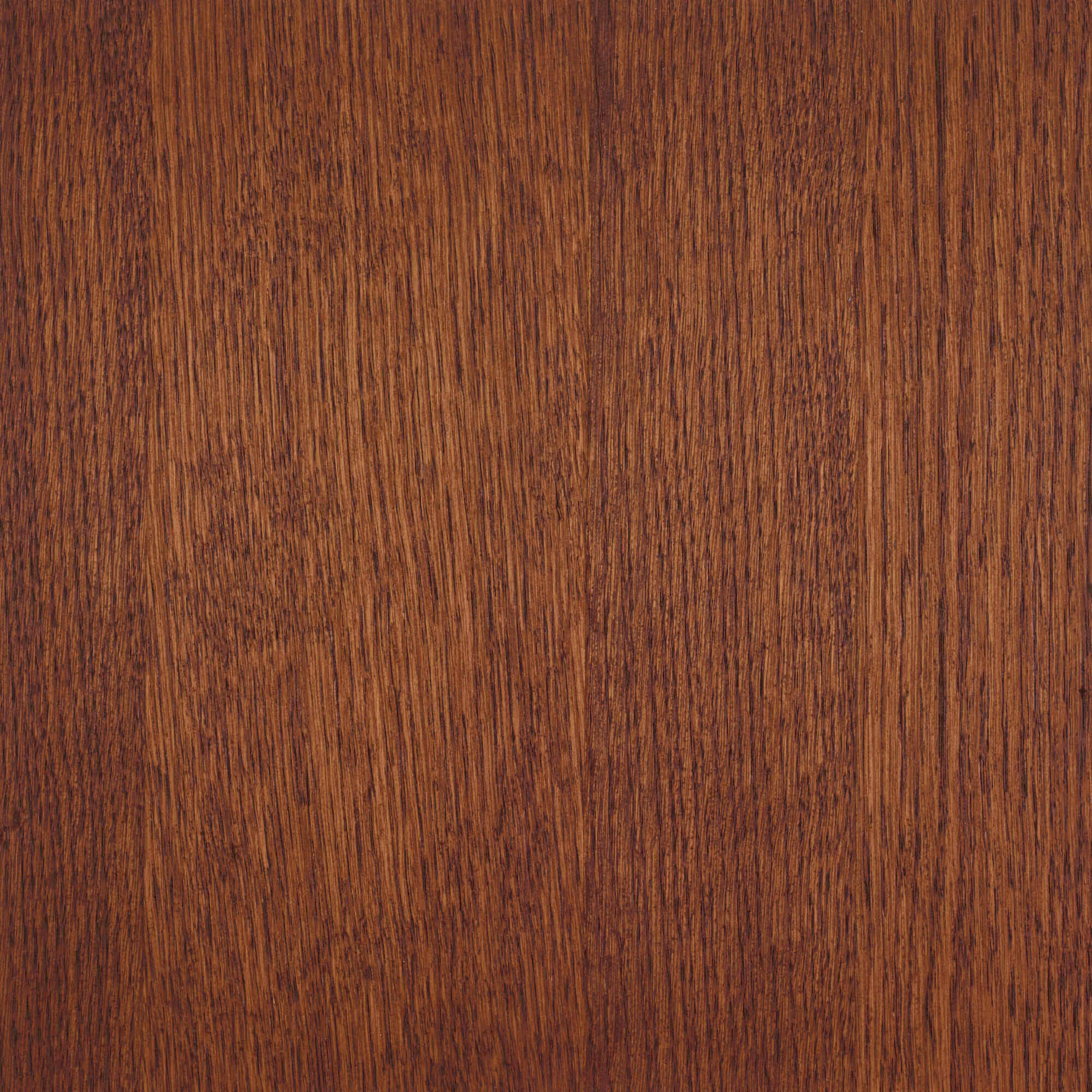 Oil Plus 2C - 130 mL - Image 43