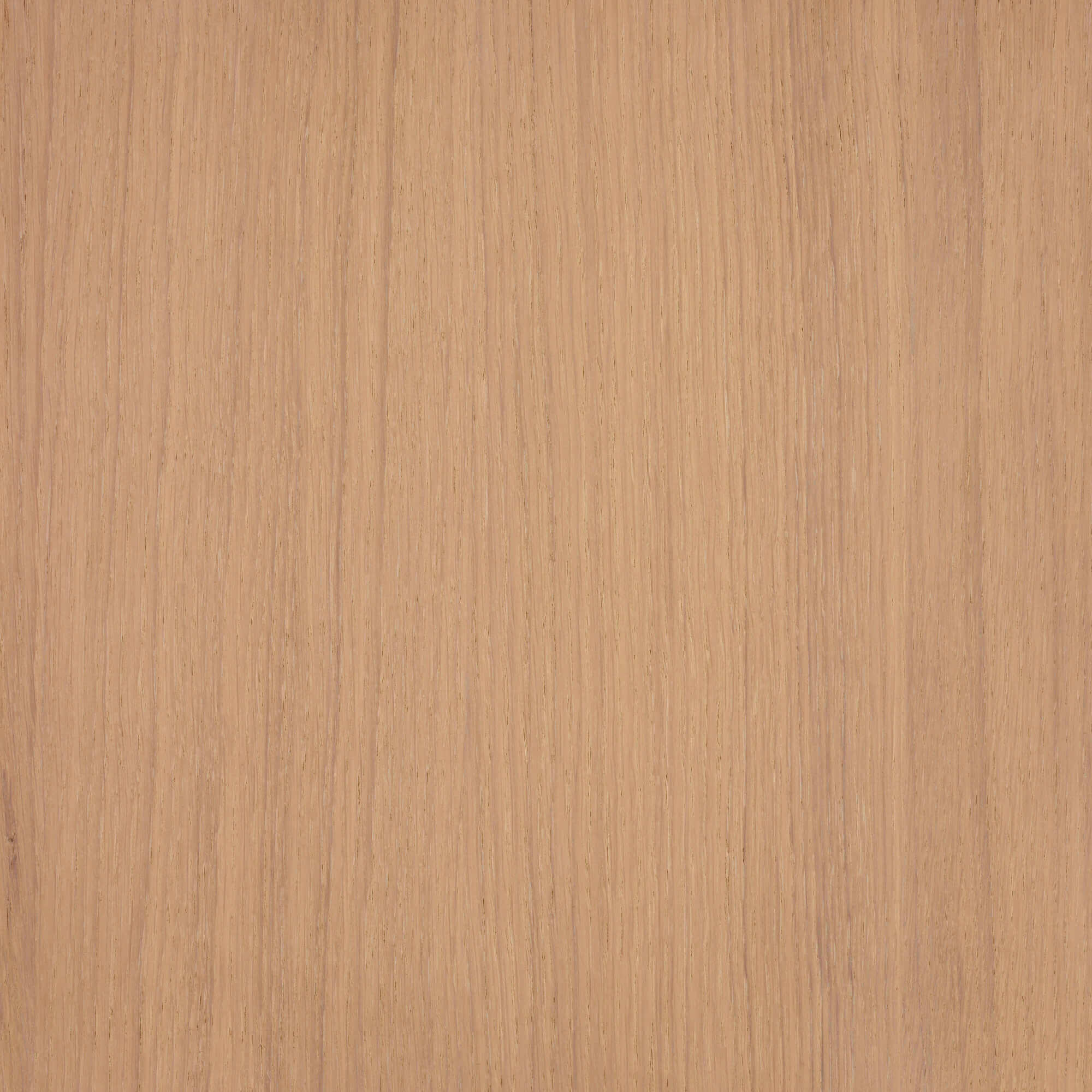 Oil Plus 2C - 130 mL - Image 91