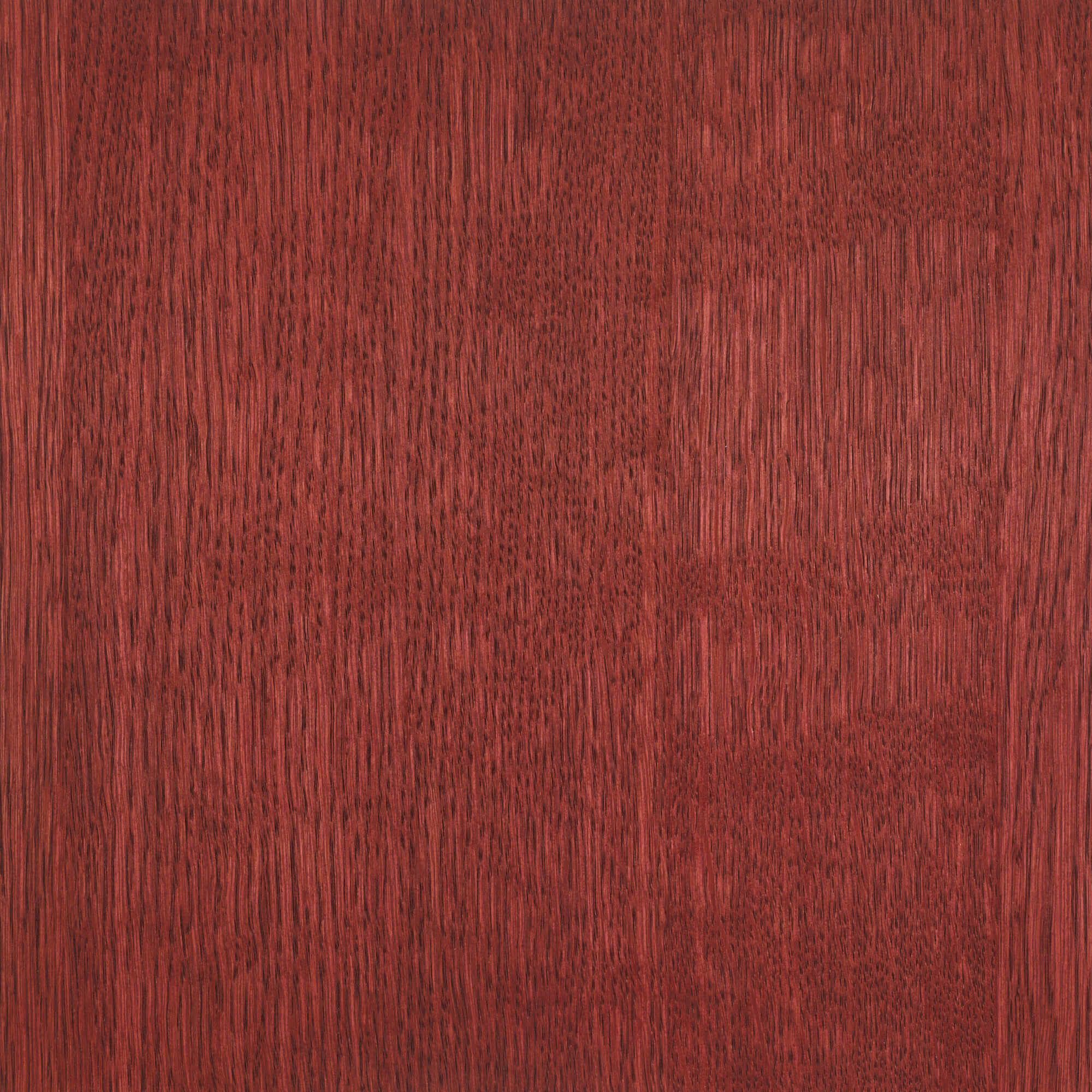 Oil Plus 2C - 130 mL - Image 28