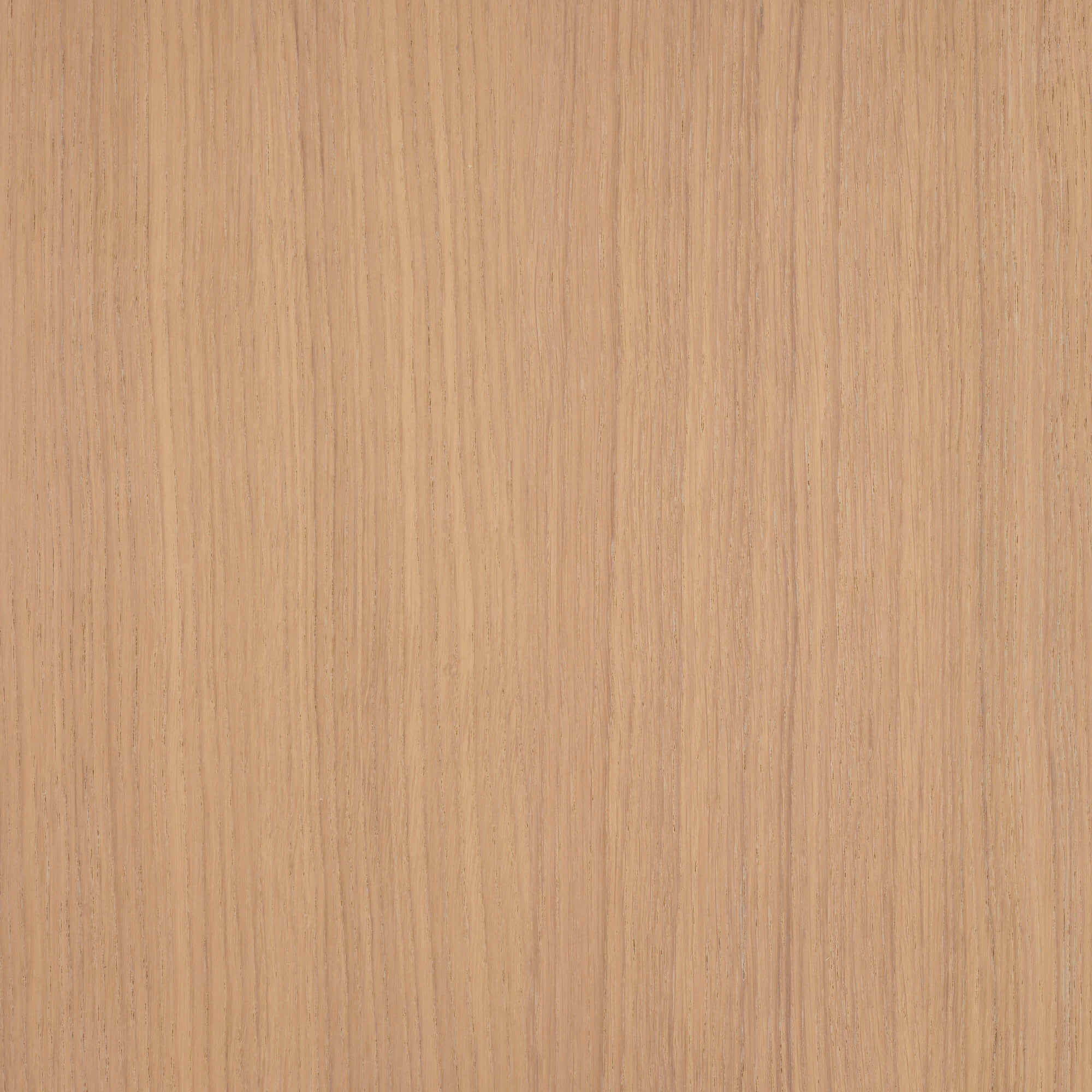 Oil Plus 2C - 130 mL - Image 97